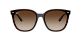 Ray-Ban | RB4423D | Transparent Brown