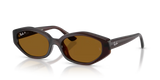 Ray-Ban | RB4473D | Dark Brown Polarised
