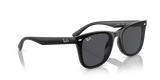 Ray-Ban | RB4420 | Black Dark Grey