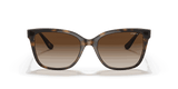 Vogue Eyewear | VO5426S | Dark Havana Brown Gradient