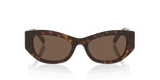 Gucci | GG2043SA | Havana