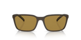 Arnette | AN4311 | Matte Brown Polarised