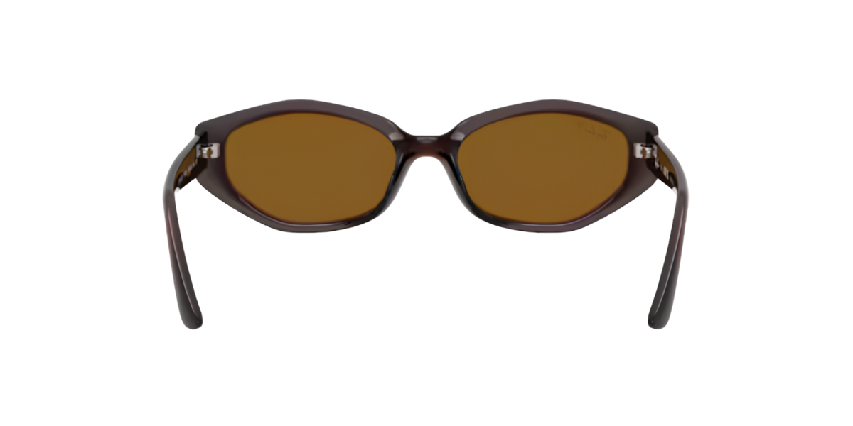 Ray-Ban | RB4473D | Dark Brown Polarised