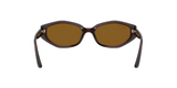 Ray-Ban | RB4473D | Dark Brown Polarised