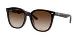 Ray-Ban | RB4423D | Transparent Brown