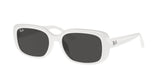 Ray-Ban | RB4421D | White Grey