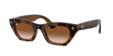 Ray-Ban Meta G3 | RW4015 Zena | Havana Gradient Brown
