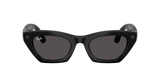 Ray-Ban Meta G3 | RW4015 Zena | Shiny Black Grey
