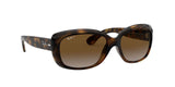 Ray-Ban | RB4174 | Shiny Havana Brown Gradient Polarised