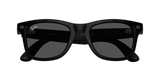 Ray-Ban Meta G3 | RW4011 Wayfarer M | Matte Black Grey