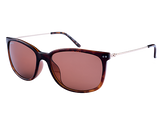 Spotters | Bella | Tortoise Halide Polarised