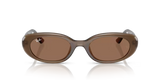 Ray-Ban | RB4441D | Opal Brown Dark Brown