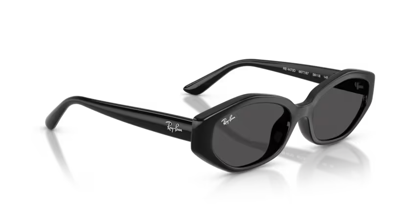 Ray-Ban | RB4473D | Black Dark Grey