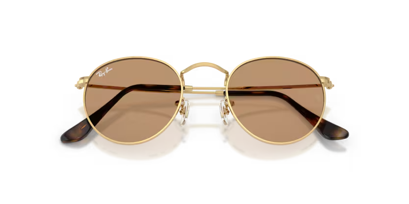 Ray-Ban | Round Metal RB3447 | Arista Brown