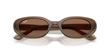 Ray-Ban | RB4441D | Opal Brown Dark Brown