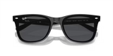 Ray-Ban | RB4420 | Black Dark Grey