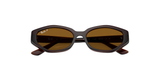 Ray-Ban | RB4473D | Dark Brown Polarised