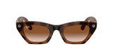 Ray-Ban Meta G3 | RW4015 Zena | Havana Gradient Brown