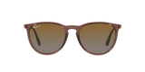 Ray-Ban | RB4171 Erika | Transparent Brown Polarised