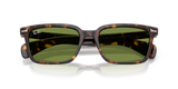 Ray-Ban | RB2234 Brunel L | Havana Green