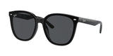 Ray-Ban | RB4423D | Black Grey