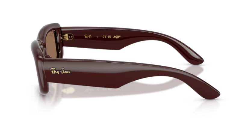 Ray-Ban | RB4944 | Transparent Dark Brown
