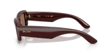 Ray-Ban | RB4944 | Transparent Dark Brown